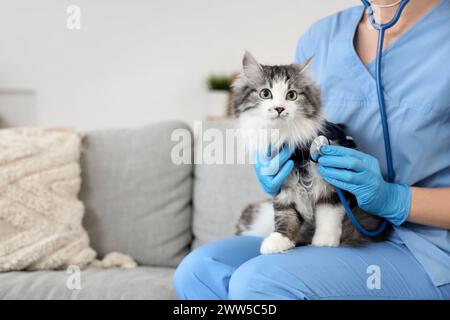 Veterinaria donna con stetoscopio e gatto carino dopo la sterilizzazione in clinica veterinaria Foto Stock