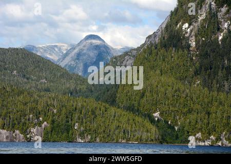 Montagne della costa del Pacifico e foresta al lago Ellerslie, nella Great Bear Rainforest, Heiltsuk First Nation Territory, Columbia Britannica, Canada. Foto Stock