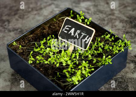 Una piccola lavagna con la parola Terra scritta sopra. La scheda è collocata in un piccolo contenitore con sporcizia e piante Foto Stock