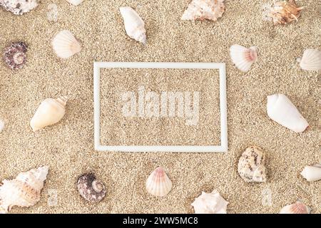 Vista dall'alto del motivo delle conchiglie marine su sfondo sabbioso con spazio di copia della cornice bianca creativa. Concetto estivo minimalista. Un'idea di scena diurna da spiaggia tropicale alla moda. Foto Stock