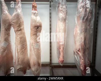 Questa fotografia cattura l'essenza grezza dell'industria della carne, con dettagli su una fila di carcasse di maiale congelate meticolosamente appese in un'ampia Foto Stock