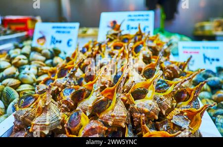 Il murex di colorante porpora fresco nel mercato di Atarazanas, Malaga, Spagna Foto Stock