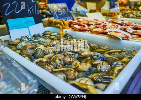 La scatola piena di galletti freschi in acqua sul bancone del mercato Atarazanas, Malaga, Spagna Foto Stock