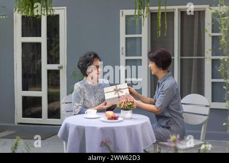 La figlia adulta fa un regalo alla madre il giorno della madre. Foto Stock