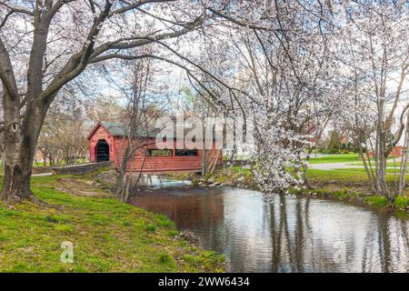 Ponte coperto di Carroll Creek circondato dai ciliegi in fiore nel Baker Park. Frederick. Maryland Foto Stock