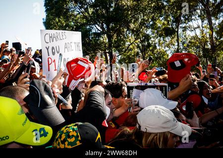 Melbourne, Victoria, Australia. 22 marzo 2024. MELBOURNE, AUSTRALIA - 22 MARZO: Atmosfera da fan al Gran Premio d'Australia 2024 all'Albert Park di Melbourne, Australia (Credit Image: © Chris Putnam/ZUMA Press Wire) SOLO PER USO EDITORIALE! Non per USO commerciale! Foto Stock