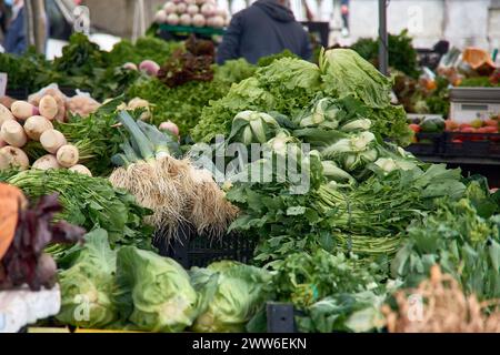 Stalla di verdure con porri, collard greens, lattuga, barbabietole, rape greens, bietola svizzera, sedano, patate dolci, cavolo, alla fiera Barcelos di Portuga Foto Stock