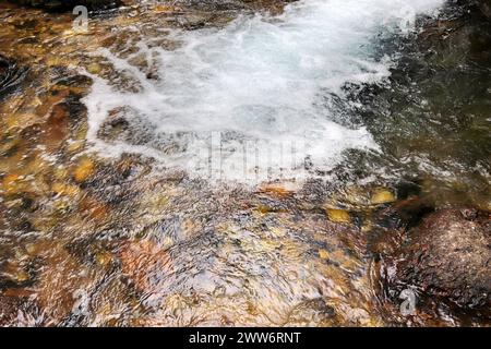 Piccolo fiume. Una vista paradisiaca. Primo piano con flusso d'acqua veloce. Foto Stock