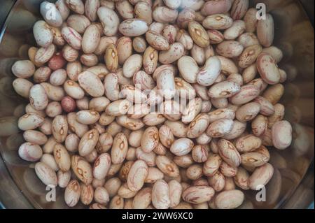 Preparazione in corso: Ritratto ravvicinato dei fagioli Borlotti essiccati immersi in una ciotola d'acqua, che avvia il processo di reidratazione per la cottura Foto Stock