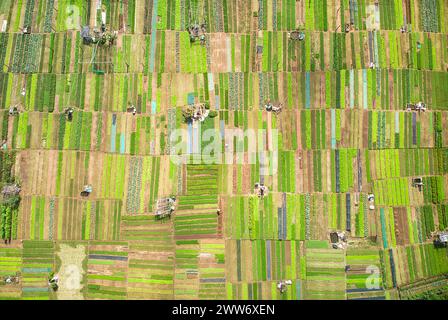 A Bird's Eye View: Cattura i lussureggianti campi e le fattorie del villaggio di verdure bio tra Que dalle Heavenly Heights, offrendo uno scorcio sereno Foto Stock