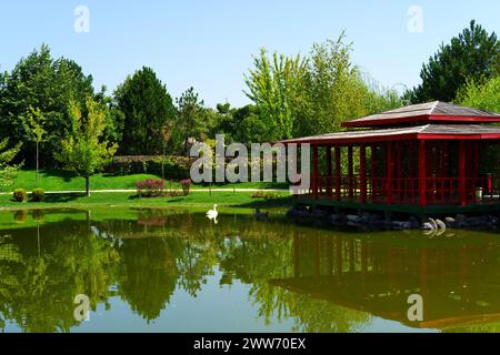 Costruzione di legno rosso in stile giapponese sul lago in natura all'interno di alberi verdi. I cigni bianchi nuotano al lago e si riflettono sull'acqua in un sole Foto Stock