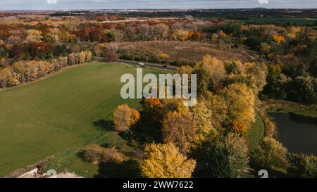 Cadono foglie rosse e gialle sugli alberi che circondano i campi agricoli Foto Stock