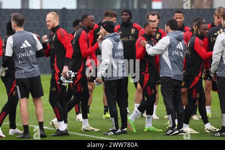 Tubize, Belgio. 22 marzo 2024. L'allenatore belga Domenico tedesco nella foto durante una sessione di allenamento della nazionale belga dei Red Devils, presso il centro di allenamento della Royal Belgian Football Association di Tubize, venerdì 22 marzo 2024. Sabato, i Red Devils giocano un'amichevole contro l'Irlanda, parte dei preparativi per l'Euro 2024. BELGA PHOTO VIRGINIE LEFOUR credito: Belga News Agency/Alamy Live News Foto Stock