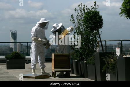 25/05/11 Embargoed fino al 26 maggio 2011...Over-Looking St. Pauls, apicoltori di città, Sally Coryn (Head of Business Development) e Jonathan Hogg (IT TR Foto Stock