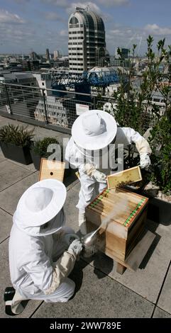 25/05/11 Embargoed fino al 26 maggio 2011...Over-Looking St. Pauls, apicoltori di città, Sally Coryn (Head of Business Development) e Jonathan Hogg (IT TR Foto Stock