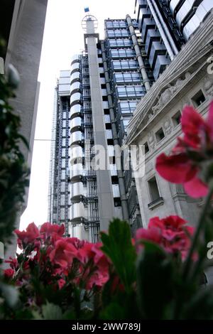 25/05/11 Embargoed fino al 26 maggio 2011...Over-Looking St. Pauls, apicoltori di città, Sally Coryn (Head of Business Development) e Jonathan Hogg (IT TR Foto Stock