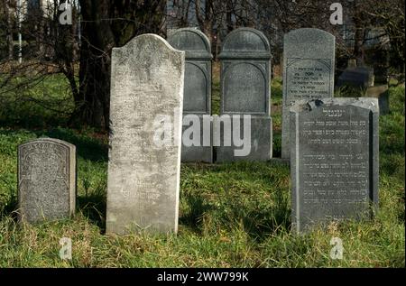 Cimitero ebraico a Nowy Sacz, Kirkut, Malopolska, piccola Polonia, Polonia Foto Stock