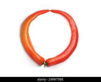Lettera o, numero 0, cornice circolare dal peperoncino rosso d'arancia e lettera maiuscola ABC fatta di peperoncini, peperoni, per testi, inviti, enciclopedia Foto Stock