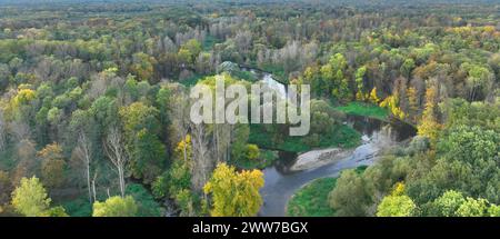 Delta del fiume pianura alluvionale autunno meandro di colore drone aereo nell'entroterra girato in alluvione di sabbia sabbiosa, panchine foresta e pianura paludosa, acqua Foto Stock