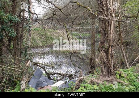 Chesham, Regno Unito. 21 marzo 2024. Thames Water ha scaricato le acque reflue nel prezioso torrente di gesso River Chess a Chesham, nel Buckinghamshire, per oltre 500 ore. L'acqua contaminata fuoriesce dalle fognature attraverso una recinzione e si immette in una strada vicina. Anche un campo agricolo nelle vicinanze utilizzato per il pascolo è inondato di traboccamento dagli impianti di trattamento delle acque reflue di Chesham. Sono in corso lavori di costruzione per ammodernare i lavori di depurazione, ma nel frattempo le acque reflue vengono pompate dagli impianti di depurazione nel fiume Chess. Paul Jennings, presidente della River Chess Association, ha affermato questa settimana che le condizioni sono soddisfatte Foto Stock