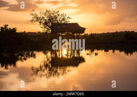 Tramonto sul fiume Orinoco Foto Stock