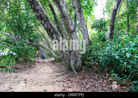 Madre e figlio turisti che esplorano il parco nazionale di Cahuita sulla costa caraibica del Panama, circondati dalla ricca biodiversità di una lussureggiante foresta tropicale. Foto Stock