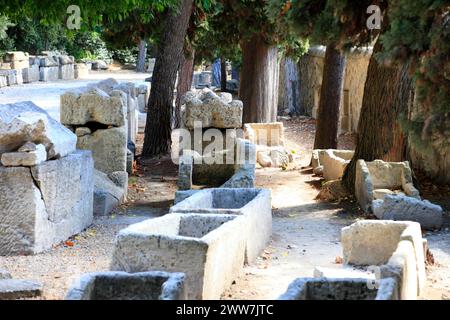 Les Alyscamps, Arles, Bouches-du-Rhone, Provenza, Francia Foto Stock