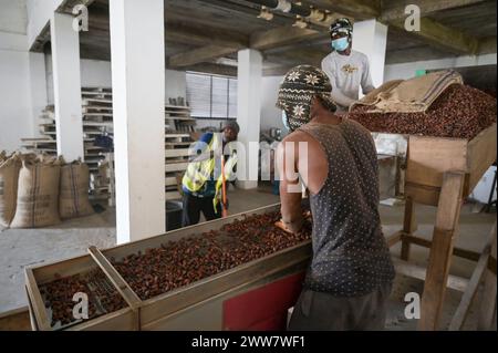 GHANA, Suhum, Yayra Glover Company, lavorazione del cacao biologico, pulizia e selezione / GHANA, Suhum, Yayra Glover, Bio-Kakao Verarbeitung, Sortierung und Reinigung Foto Stock