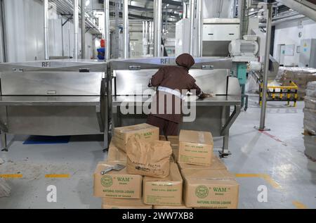 GHANA, villaggio Amanese, lavorazione del cacao, fabbrica di cioccolato fairafric / GHANA, Wertschöpfungskette, Kakao Verarbeitung, Schokoladen Herstellung a Schokoladenfabrik fairafric Foto Stock