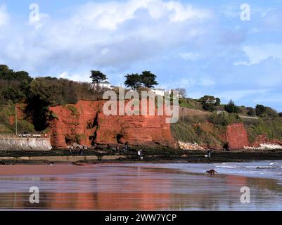 Le scogliere di Red Sandstone Hollicombe Head alla fine di Marine Parade, Preston Sands, Paignton, Torbay, South Devon. Foto Stock