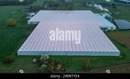 Duffel, Belgio, 20 marzo 2024, l'immagine dall'alto cattura la distesa di un massiccio complesso di serre bagnato dal bagliore delle luci LED, dipingendo una tela agro-industriale attraverso il paesaggio rurale. L'ambientazione al crepuscolo evidenzia la giustapposizione di un'agricoltura all'avanguardia nella tranquillità della natura. Tela agro-industriale: Veduta aerea di un'enorme serra illuminata da LED. Foto di alta qualità Foto Stock