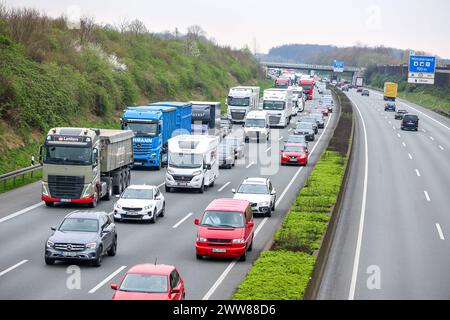 Stau in Fahrtrichtung Norden auf der Autobahn A1 Hansalinie durch erhöhtes Verkehrsaufkommen. Münster, Nordrhein-Westfalen, DEU, Deutschland, 22.03.2024 *** ingorgo del traffico in direzione nord sull'autostrada A1 Hansalinie a causa dell'aumento del volume di traffico Münster, Renania settentrionale-Vestfalia, DEU, Germania, 22 03 2024 Foto Stock