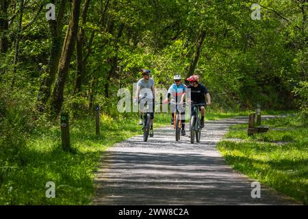 Mountain bike, Afan Forest Park, Galles, Regno Unito Foto Stock