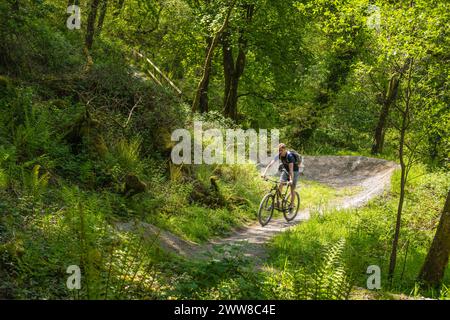Mountain bike, Afan Forest Park, Galles, Regno Unito Foto Stock