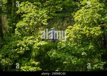 Mountain bike, Afan Forest Park, Galles, Regno Unito Foto Stock