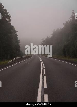 Strada asfaltata vuota nella foresta nebbiosa. Carreggiata curva, alberi con fogliame verde nella nebbia e cielo coperto. Paesaggio attraversato da una strada asfaltata vuota Foto Stock