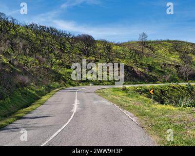 Passaggio stagionale: Strada che attraversa Charred Cork Oak Hills fino a Blooming Fields Foto Stock