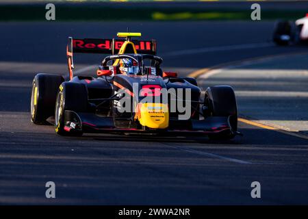 08 SZTUKA Kacper (pol), MP Motorsport, Dallara F3 2019, azione durante il 2° round del Campionato FIA di Formula 3 2024 dal 22 al 24 marzo 2024 sull'Albert Park Circuit, a Melbourne, Australia - Photo Xavi Bonilla / DPPI Foto Stock