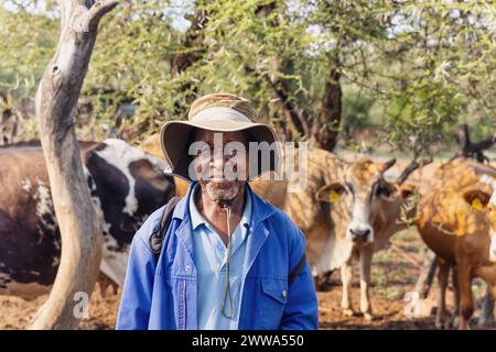 allevatore africano con la sua mandria di bestiame che pascolano nel cespuglio Foto Stock