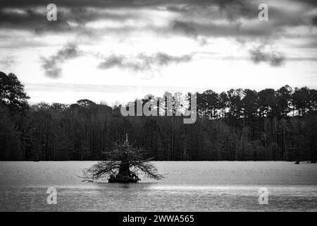 Nuvole la mattina di marzo sul lago Stumpy vicino a Virginia Beach, Virginia Foto Stock