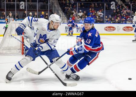 22 marzo 2024: Il difensore dei Toronto Marlies Marshall Rifai (86) pattina nel secondo periodo contro i Rochester Americans. I Rochester Americans ospitarono i Toronto Marlies in una partita della American Hockey League alla Blue Cross Arena di Rochester, New York. (Jonathan tenca/CSM) Foto Stock