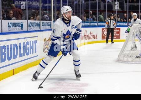 22 marzo 2024: L'attaccante dei Toronto Marlies Logan Shaw (11) pattina nel secondo periodo contro i Rochester Americans. I Rochester Americans ospitarono i Toronto Marlies in una partita della American Hockey League alla Blue Cross Arena di Rochester, New York. (Jonathan tenca/CSM) Foto Stock