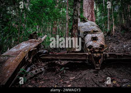 I resti decadenti di un aereo in tempo di guerra abbandonato nella fitta foresta. Foto Stock