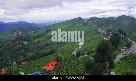 panorama delle lussureggianti colline verdeggianti dell'himalaya e del famoso giardino da tè darjeeling da un punto panoramico in stagione monsonica, vicino a darjeeling, india Foto Stock