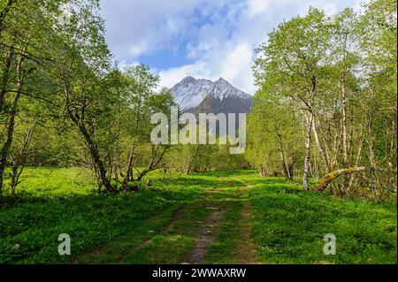 Un sentiero verdeggiante conduce verso una maestosa montagna, circondata da fogliame primaverile sotto un cielo limpido. Foto Stock