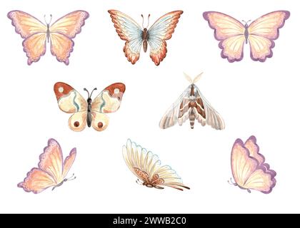 Set di acquerelli di farfalle colorate e falena notturna. Illustrazione isolata disegnata a mano insetti selvatici. Collezione decorativa di insetti astratti estivi. C Foto Stock