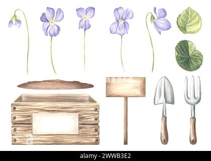 Set di acquerelli di violette selvatiche con foglie, cassa con terreno, attrezzi da giardinaggio e cartello. Illustrazione isolata disegnata a mano fiori primaverili. Floreale cl Foto Stock