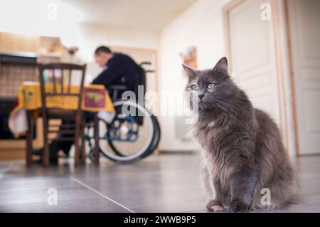 ADMR 62 - aiuto a domicilio nelle zone rurali, Pas de Calais. Muriel, Auxiliary of Social Life (AVS) lavora a casa del signor T.. Foto Stock