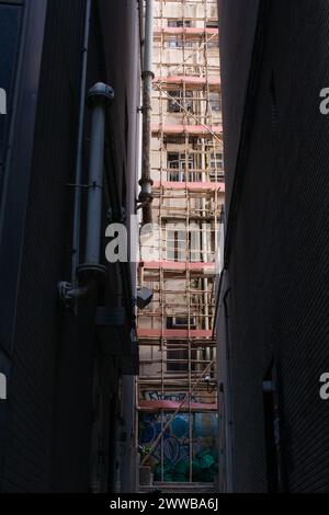Una fetta della vita cittadina di Hong Kong mostra impalcature di bambù che coprono l'esterno di un condominio. Foto Stock