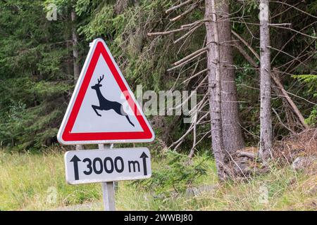Cartello segnaletico per l'attraversamento dei cervi sulla Route nationale 205 nel tratto da Chamonix al tunnel del Monte bianco, Chamonix, alta Savoia, Francia Foto Stock